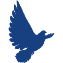 Dr. Colbert Coupon Code