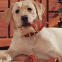 EcoKind Pet Treats Coupon Code