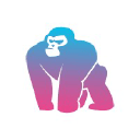 Kong Beer Bong Coupon Code