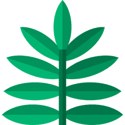Kratom